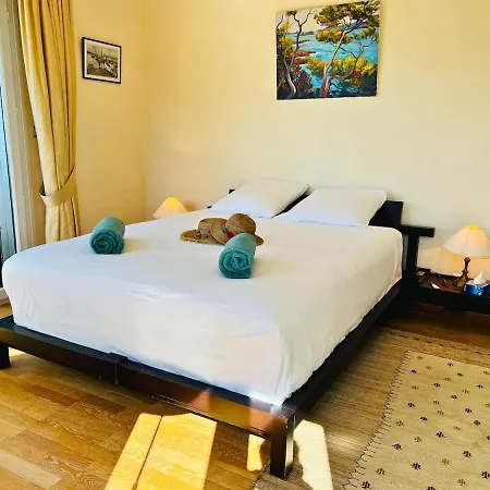 Villa-cypres-la-polynesie-giens Вилла