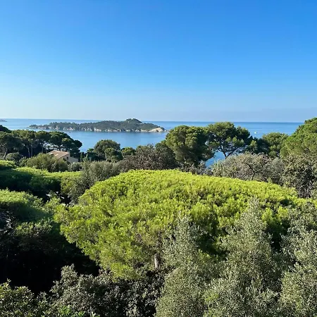 Вилла Villa-cypres-la-polynesie-giens