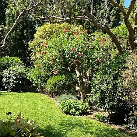 ヴィラ Villa-cypres-la-polynesie-giens イエール