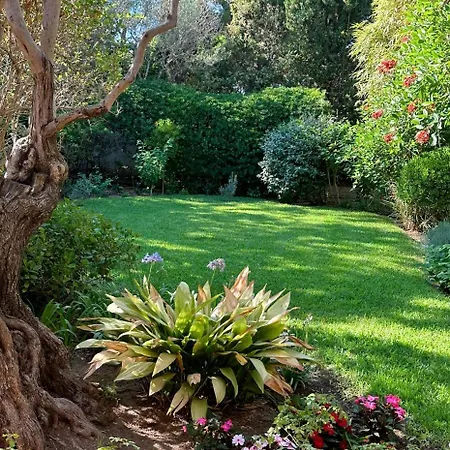 Вилла Villa-cypres-la-polynesie-giens