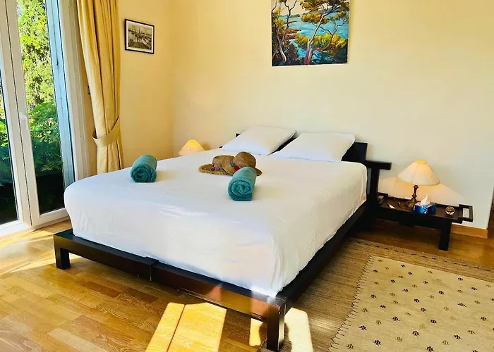 Villa-cypres-la-polynesie-giens 빌라