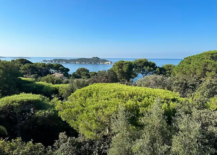 빌라 Villa-cypres-la-polynesie-giens