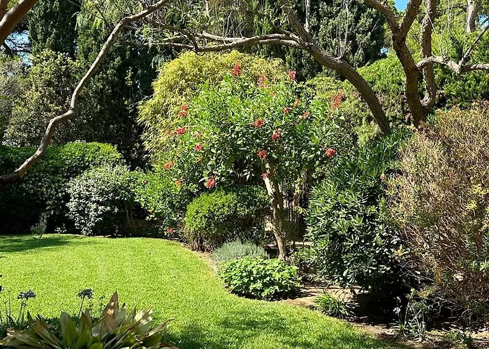 Villa Villa-cyprès-la-polynésie-giens Hyères