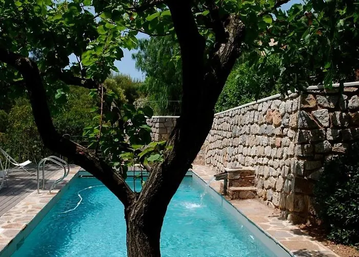 Villa-cypres-la-polynesie-giens 빌라 히에레