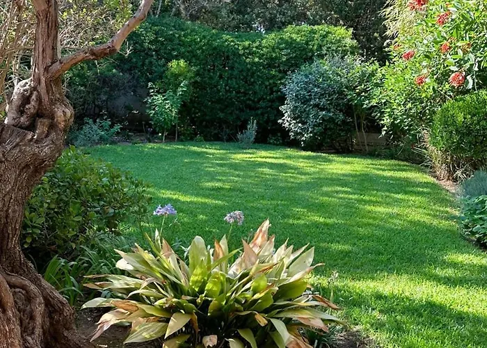 Villa Villa-cyprès-la-polynésie-giens