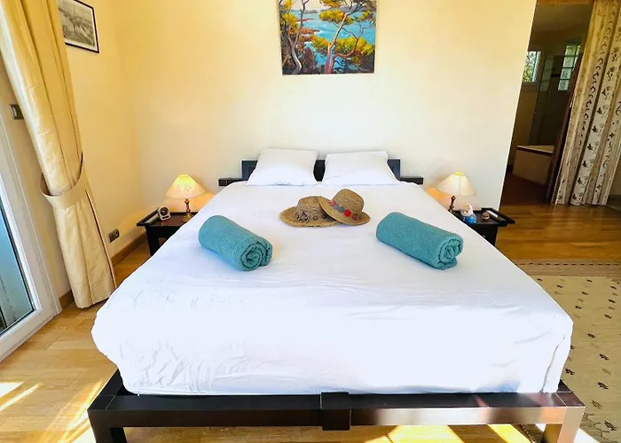 Villa-cypres-la-polynesie-giens 빌라 히에레